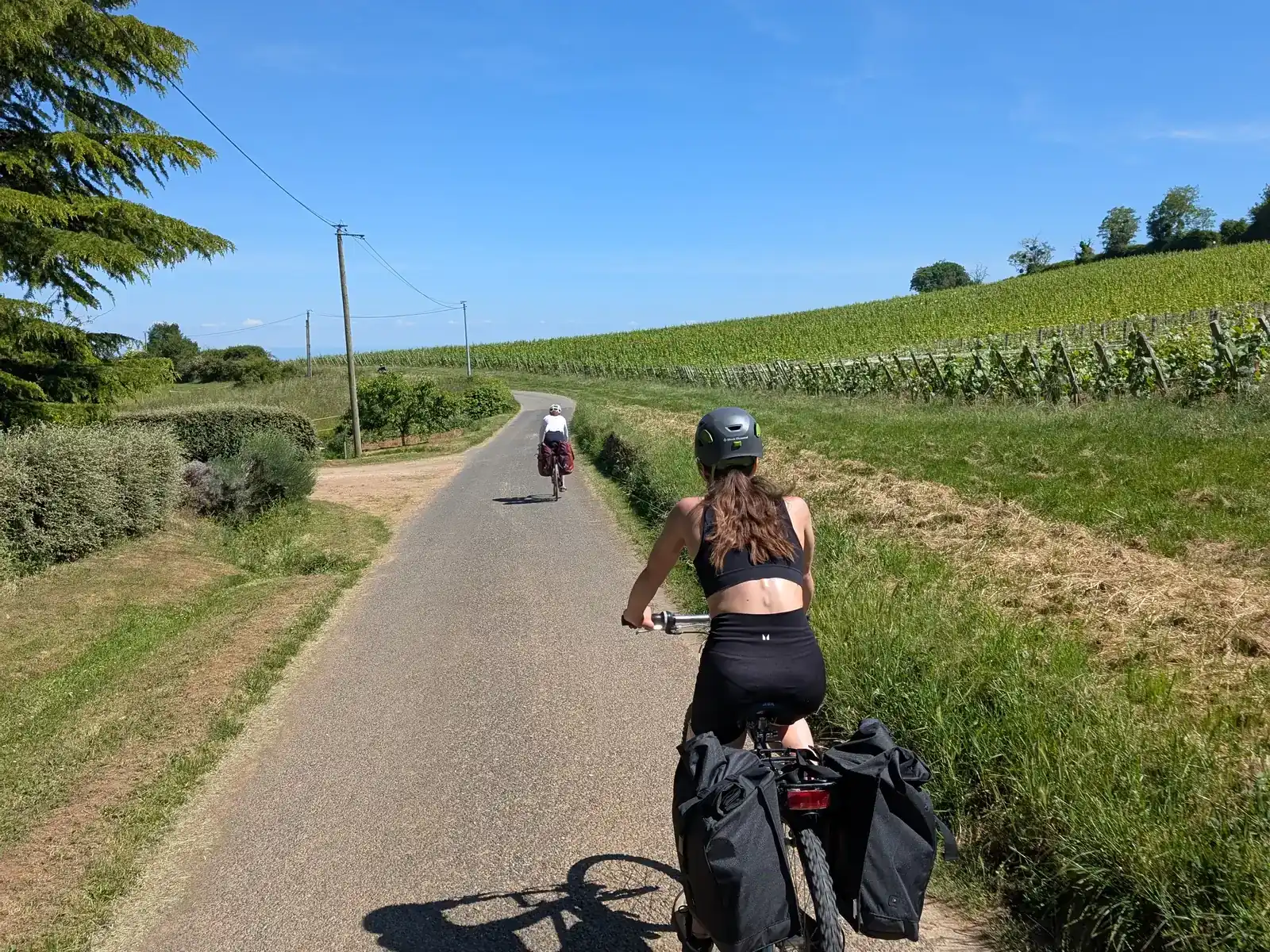 Cycliste à sacoches sur une petite route entre les vignes